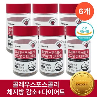 콜레우스 포스콜리 다이어트 헬시위듀 체지방컷팅제 다이어트보조제, 6박스, 60정