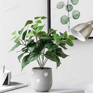 臺南出貨 仿真植物盆景北歐小清新龜背葉綠植室內客廳房間裝飾品擺設小盆栽, 1個, 玻璃盆小劍草