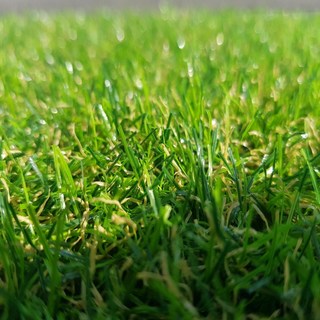 네이처매트 인조잔디 매트 방염 옥상 베란다 마당 시공 20mm 폭 1m 2m x 길이 1m 2m 3m 5m 10m 25m 1롤, 1개, 내추럴 그린(1mx2m)