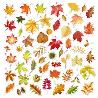 나뭇잎 시리즈 방수 리무버블 스티커 55매, 1세트, 혼합(S2189) 55pcs
