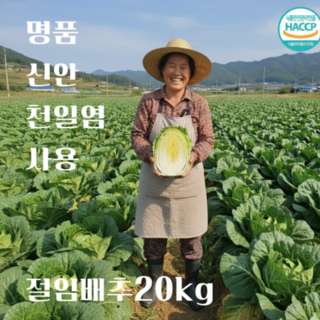 [HACCP인증] 강원도 해남 산지직송 청정 고랭지 김장배추 신안천일염으로 절임배추 20kg 국내산100%, 11월 6일 목요일 도착, 1박스