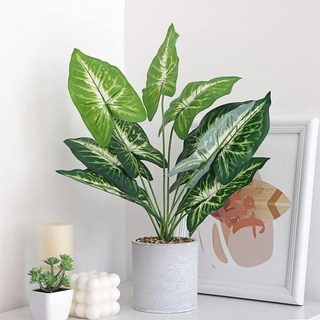 O 仿真龜背葉盆景，辦公室桌面擺件，小清新居家裝飾仿真植物, 1個, 升級⭐馬蹄蓮盆栽