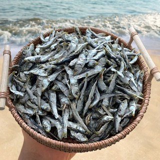 남해안 햇 건 솔치 청어(정어리) 멸치 상급 1kg 500g (볶음 조림 육수용), 1개