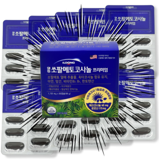 일동 쏘팔메토코사놀 프리미엄 남성 전립선 뉴버전 +사은품(랜덤), 1개, 60정