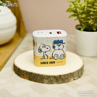 infoThink 史努比75週年系列GaN氮化鎵充電器 史奴比充電器 pd快充 pd3.0 充電頭, 詳見包裝, 詳見包裝