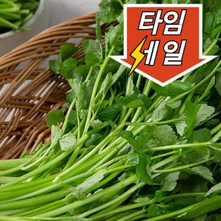 올바른농수산 당일수확 국내산 청정 미나리, 1박스, 1kg