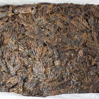 50마리 말랑하고 쫄깃한 납작숏다리, 200g, 1개