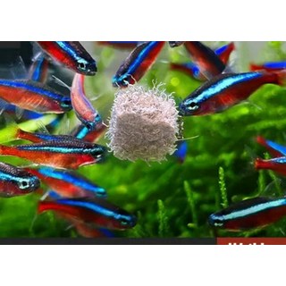 魚糧 魚飼料, 1個, 200ml