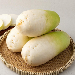 [산지직배송]지팜 국산 제주 세척무 월동무 가정용 동치미무 3kg 5kg 10kg, 1개, 제주 월동무 3kg
