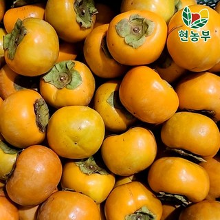 산지직송 국내산 가정용 햇 단감, 1박스, 랜덤과 10kg