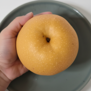 [설날특가] 프리미엄 나주 신고배 선물세트 고당도 햇배 (산지직송), 1박스, 선물용 7.5kg 특 (11~13과)