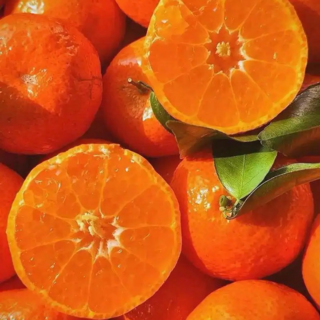 [역대최저가] 꿀달콤농축 홍미향 제주꿀농장 홍매향, 1박스, 5kg 정품