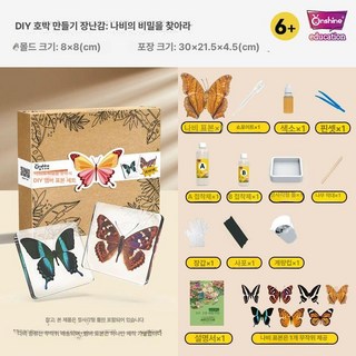 조이앨빈 곤충표본만들기 키트 표본 곤충표본 교육용, 나비표본세트-나비제외하고 배송(통관금지품목), 1개, 기본 색상