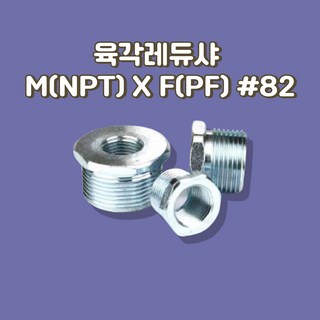 육각레듀샤 ADAPTER EAG M(NPT)XF(PF) 82, 82/22, 1개