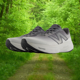 뉴발란스 운동화 / NBPFFS102G / 프레쉬폼x 1080 V14 (남성 2E) (GRAY) - kse
