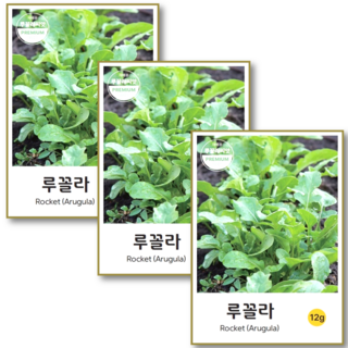 루꼴라 씨앗 (12g x 3) 허브 이태리 채소 로켓샐러드 키우기 종자, 3개