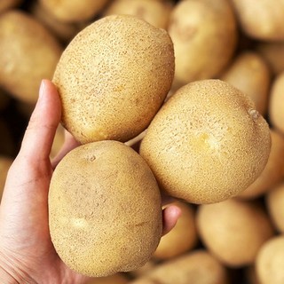 국내산 감자 햇감자 수미감자 타박감자 3kg 5kg 10kg, 1개, 대사이즈(찜용)