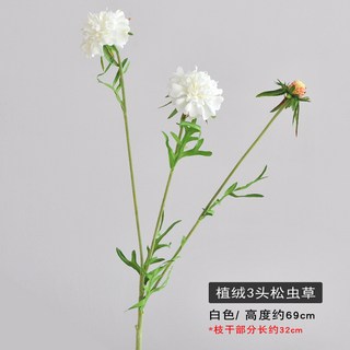 松蟲草仿真花窄葉藍盆花客廳家居裝飾路引布置假花仿真花束仿真花永生花人造花乾燥花永不凋零拍照道具假花裝飾居家裝飾, 白色, 1個