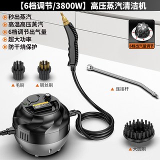 高壓蒸汽清洗機 - 居家清潔神器 油汙/油蟲/地毯/床墊沙發深層清潔 一機搞定髒污, 1個, 【6檔調節/3800W】高壓蒸汽清潔機