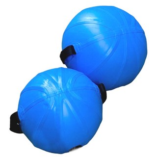 BC 아쿠아볼 선수PT 트레이닝 발란스 전신 코어강화 스트레칭 운동, 1개, 블루