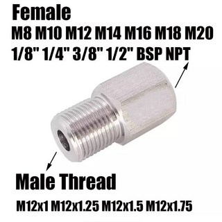스테인레스 육각 어댑터 피팅 부속 스텐 NPT M12 남성 M8 M10 M14 M16 M18 M20 1/8 1/4 3/8 1/2 BSP 여성 부싱 304 스테인리스 스틸 고압, M10x1 Female, Thread, M12x1.25 Male