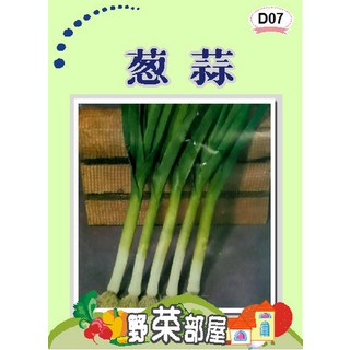 【野菜部屋~】D07 蔥蒜種子 35公克(約11200粒) 獨特香味, 1包
