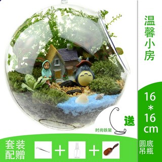 kun 苔蘚生態瓶玻璃微觀盆景，DIY迷你盆栽，微景觀植物，節日禮物, 1個, 溫馨小屋+鐵架（16cm）