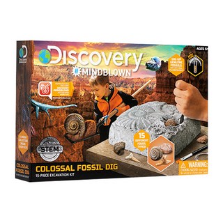 디스커버리-고대 화석 캐기-15pcs-1423005741, 1개