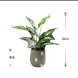 臺南出貨 大型北歐仿真植物假天堂鳥盆栽旅人蕉擺件綠植室內客廳花裝飾龜背, 1個, 40cm左右芋頭葉盆栽