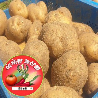 효민농원 햇 감자 강원도 농장 노지 하우스 포슬포슬 맛있는, 1박스, 상(알감자) 5kg