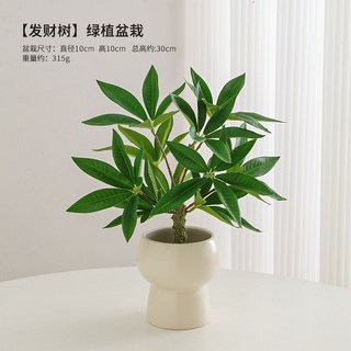 甜蜜cosmetics 仿真花小盆栽 桌面擺飾 髮財樹 仿真綠植 辦公室裝飾 假花 客廳仿生植物, 1個, 髮財樹+蘑菇盆