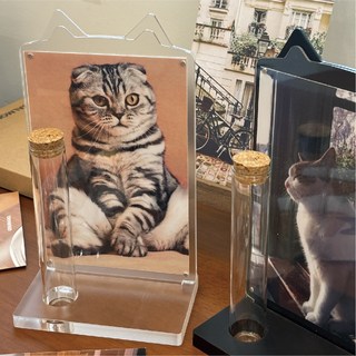 고양이 수염보관함 액자 보관함 사진액자 행운 보관 털뭉치 수염통, 투명, 1개
