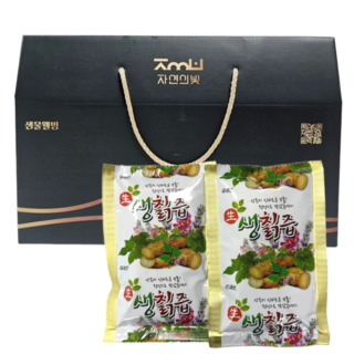 샘물웰빙 지리산야생칡즙 생칡즙 칡착즙 100ml, 60개