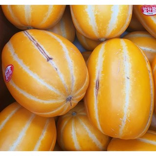 참외 초특가 가정용, 1박스, 참외 10kg 랜덤