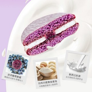 脣動葡萄派糕派230g 夾心麵包休閒零食品小吃學生早餐, 1個, 脣動葡萄派230g-1箱