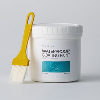 [BEST 상품] 홈글로우 프리미엄 침투형 투명 방수제, 1개, 500g