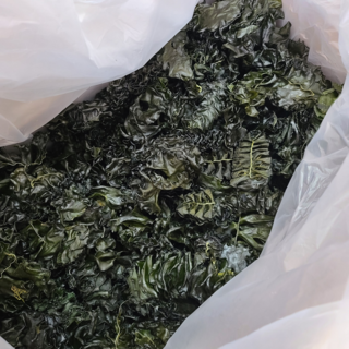 완도 산지직송 햇 미역귀 미역귀다리, 300g, 1박스