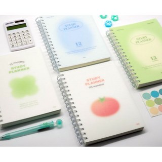 12개월 스터디 플래너 1년 학습 공부 스케쥴러 수험생 수능 다이어리, 토마토