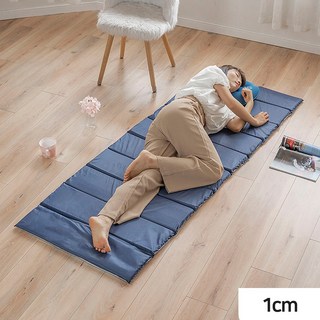 로아딕 푹신한 폴딩매트 캠핑 야외 피크닉 간편한 사용 (보관가방 증정), 네이비