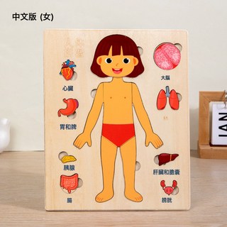 DFMEI 兒童科學啓蒙人體器官結構拼圖解剖骨骼認知早教身體內臟拼板玩具, 1個, 中文版女生:如圖