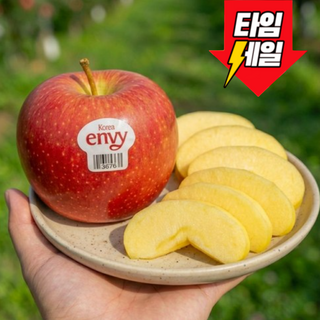 [시장가격파괴] 재구매폭주 꿀벌Brix 햇 엔비사과, 1개, 3kg