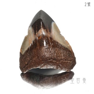 巨齒鯊牙齒化石2號 Megalodon 稀有化石收藏 激發熱情並給予強大能量, 1個, #2