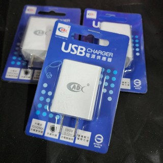 P老闆水族 USB電源供應器 豆腐頭 BSMI認證充電頭 5V1A 安規認證 1A USB插座 100-240V電源供應, 1個