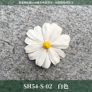 小雛菊花頭 單朵 乾燥花 迷你雛菊 DIY花材 居家裝飾, 02白