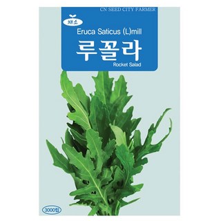 루꼴라 씨앗 로켓샐러드 씨 3000립, 1개