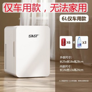 迷你小冰箱 家用臥室學生 面膜化妝品冷藏 宿舍車家兩用制冷冰箱, 1個, 6L白色/僅車用款（容量較小）