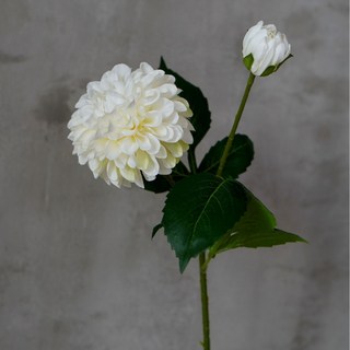 仿真福壽菊菊花室內家居擺件婚慶佈景人造花假花, 白色, 1個