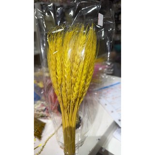 麥穗乾燥花一把50支 - 自然風格居家裝飾乾燥花/乾花, 黃色