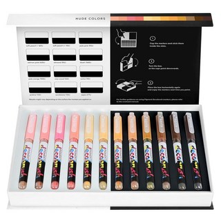 Karin 안료 Decobrush 아크릴 페인트 마커 12가지 누드 색상 컬렉션 브러시 팁 아크릴 마커 세트 불투명 내광성 및 방수 페인트 펜 목재 원단 캔버스