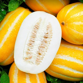 [초특가할인] SNS입소문 산지직송 고당도 성주참외, 1박스, 1kg